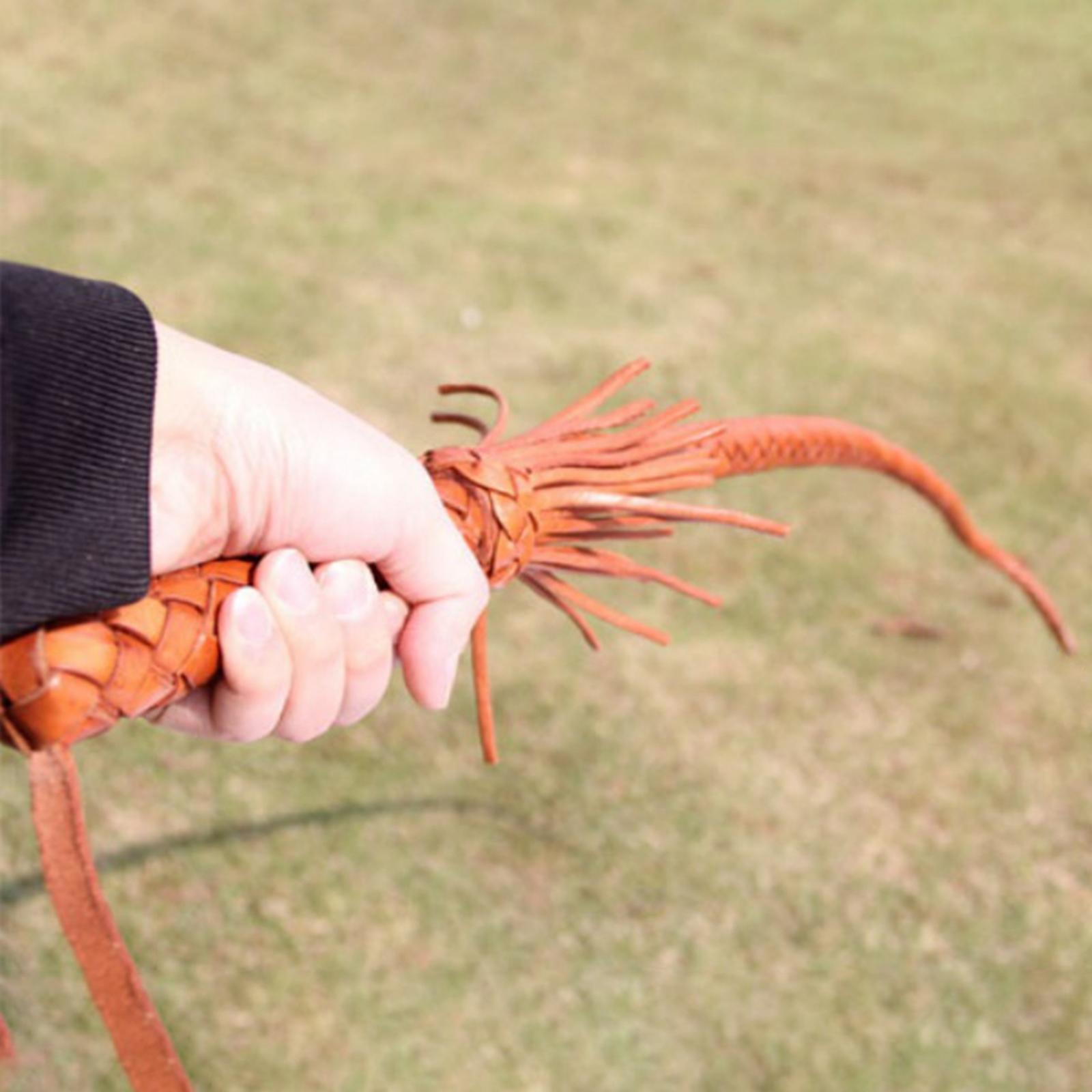 Outdoor PU Leather Horse Ridin - Riding Crop Dressage review and price