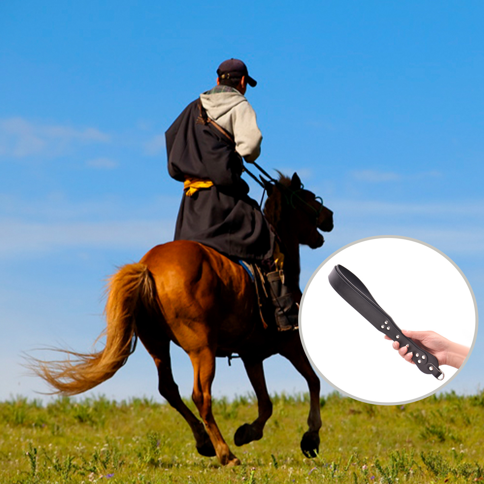 Equestrian Training Whip PU Le - Riding Crop Dressage review and price