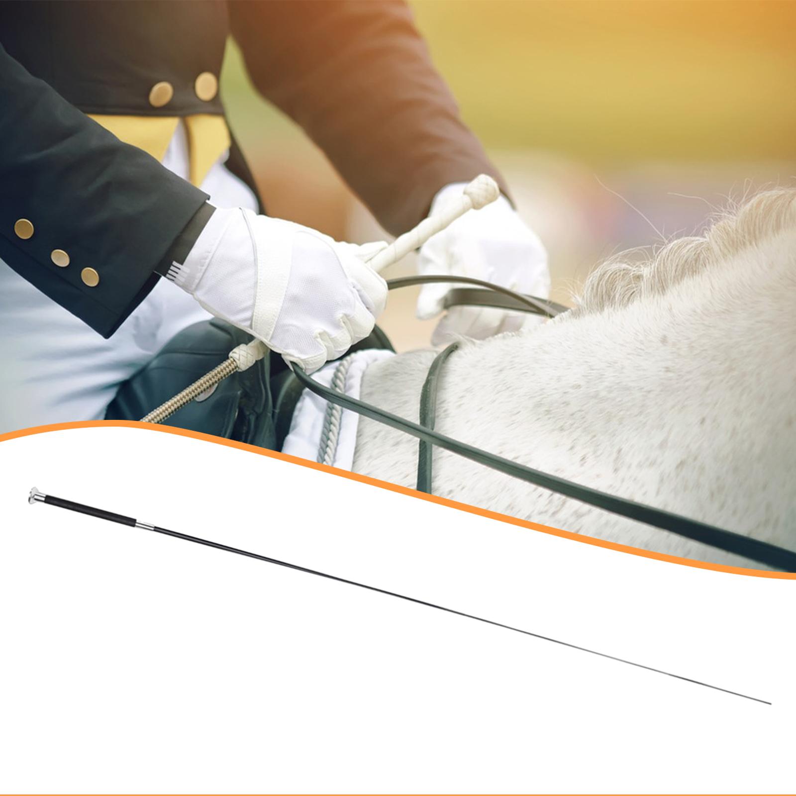 Equestrian Riding Crop Telesco - Riding Crop Dressage review and price