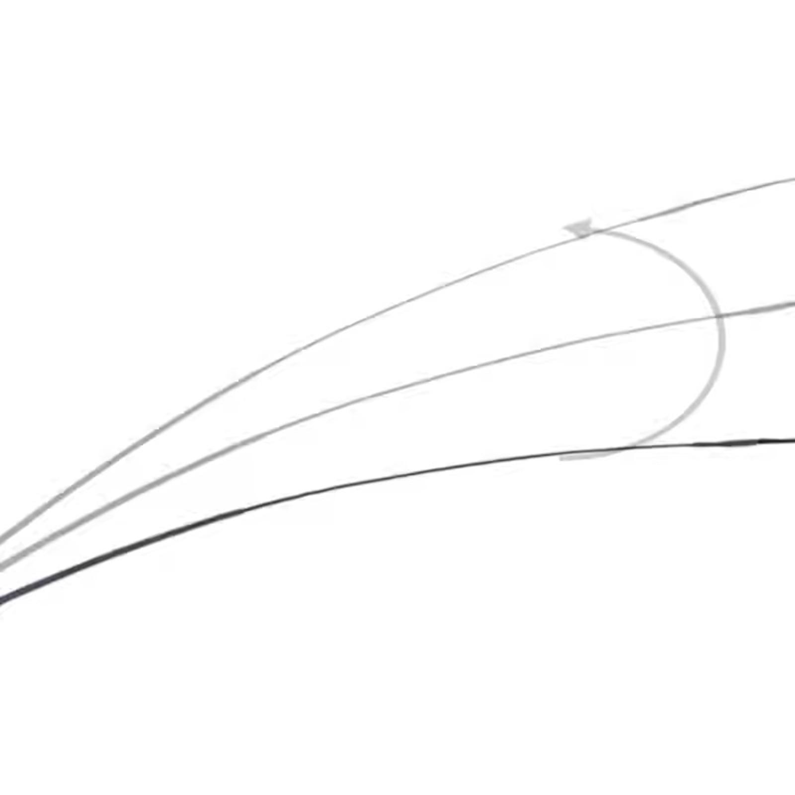 Horse Riding Crop Equestrian R - Riding Crop Dressage review and price